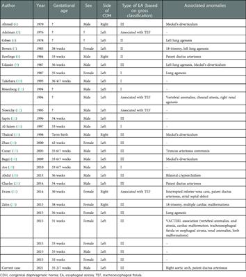 Case Report: Congenital diaphragmatic hernia associated with esophageal atresia and tracheoesophageal fistula